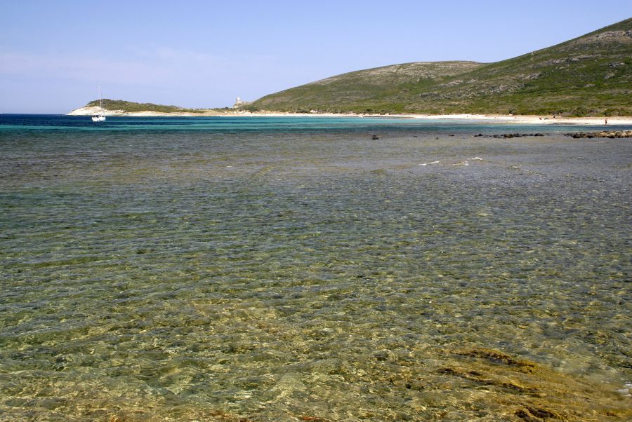 Die Bucht von Barcaggio türkisfarbendes Wasser mit leicht abfallender Küste