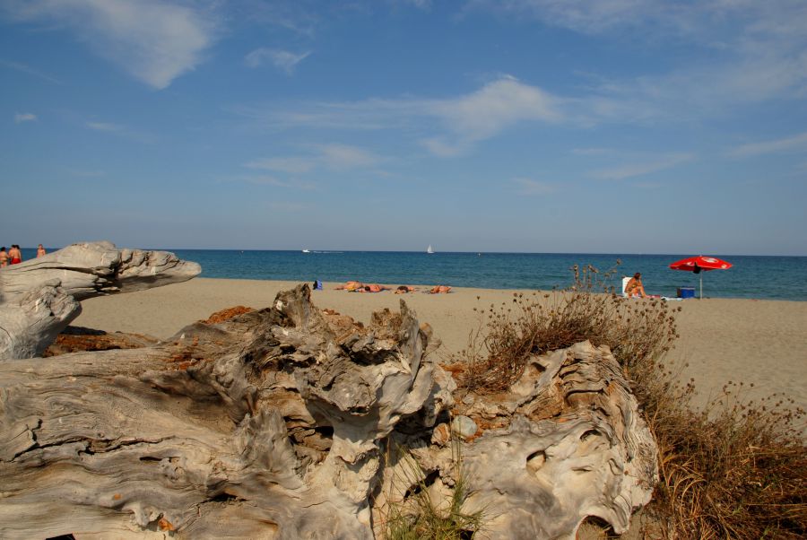Ein fast durchgehender Sandstreifen, an dem man überall mit Kindern baden kann, ist charakteristisch für die Ostküste.