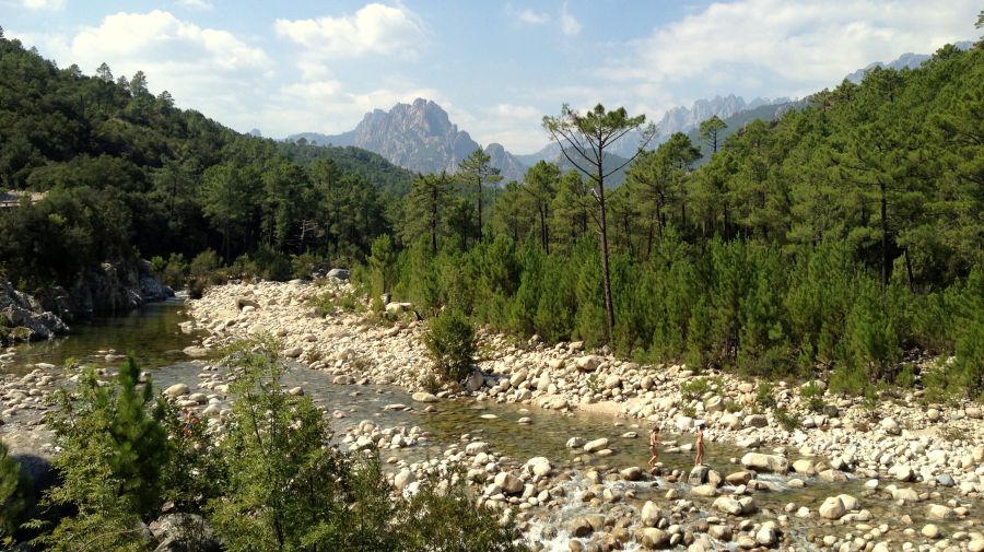 Das Tal des Wildbachs Solenzara führt langsam bergauf, durch undurchdringliche Macchiawälder.