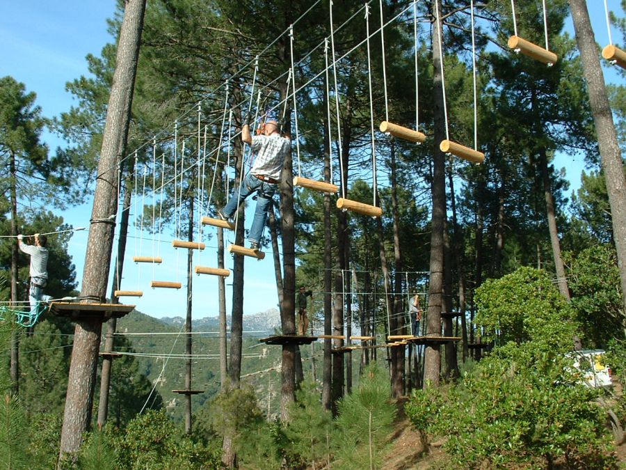 Hochseilgarten in Vero Fans des Kletterns bietet der Kletterwald in Vero viele Möglichkeiten sich von Baum zu Baum zu hangeln.