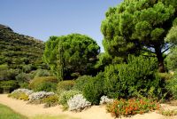 Der botanische Garten wurde in einem kleinen Tal angelegt und zeigt über 2000 Arten von  Büschen, Blumen und Bäumen aus allen Kontinenten