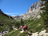 Das Restonica-Tal bei Corte,liegt im Herzen des Parc naturel régional de Corse