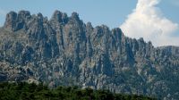 Inmitten einer kargen, von Felsgeröll und Tannen geprägten Berglandschaft