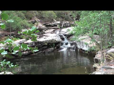 CASCADES D'AITONE (Corse) CASCADES D'AITONE (Corse)