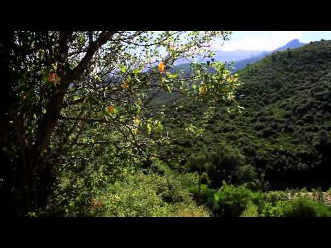 Amazing Nature Around the world (Part5) Corse