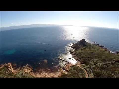 Ein wahres Naturparadies sind die vier kleinen "Îles Sanguinaires" am Eingang des Golfe d'Ajaccio im Westen Korsikas.